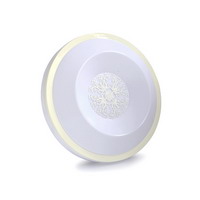 LED ceiling light